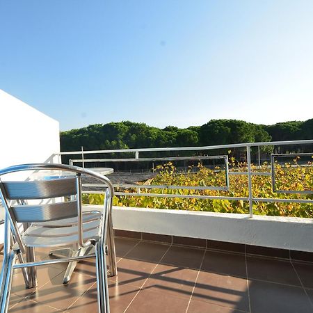 Velipojë Apartments Kraja מראה חיצוני תמונה