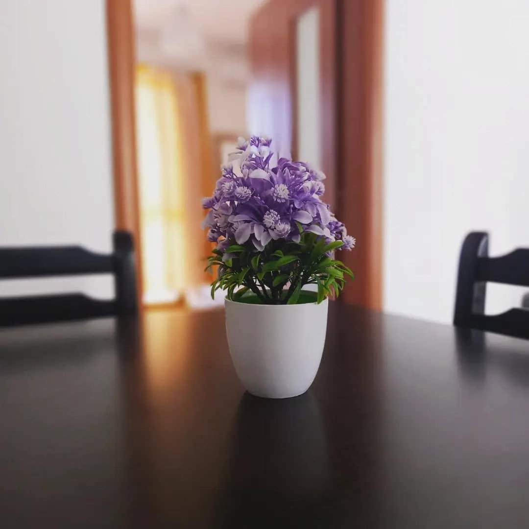 Velipojë Apartments Kraja מראה חיצוני תמונה